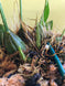 Product image thumbnail 8