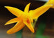Product image thumbnail 3