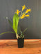 Product image thumbnail 7