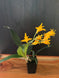 Product image thumbnail 8