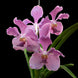 Product image thumbnail 1