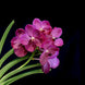 Product image thumbnail 4