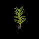Product image thumbnail 5