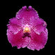 Product image thumbnail 2