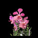 Product image thumbnail 3