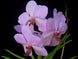 Product image thumbnail 3
