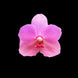 Product image thumbnail 2