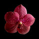 Product image thumbnail 1