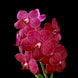 Product image thumbnail 3
