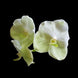 Product image thumbnail 2