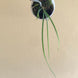 Product image thumbnail 8
