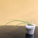Product image thumbnail 5
