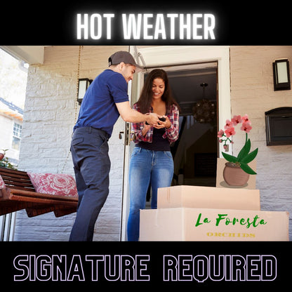 Add On Services: Hot Weather Orchids Protection Plan Hot Weather Protection Plan La Foresta Orchids Signature Required 