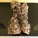 Product image thumbnail 8