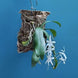 Product image thumbnail 3