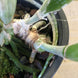 Product image thumbnail 6