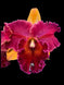 Product image thumbnail 1