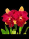 Product image thumbnail 2