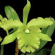 Product image thumbnail 2