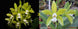 Product image thumbnail 3