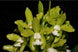 Product image thumbnail 1