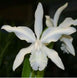 Product image thumbnail 1