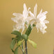 Product image thumbnail 8
