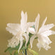 Product image thumbnail 6