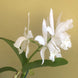 Product image thumbnail 7