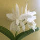 Product image thumbnail 9