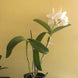 Product image thumbnail 11