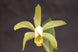 Product image thumbnail 3