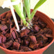 Product image thumbnail 5