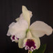 Product image thumbnail 5
