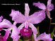 Product image thumbnail 2