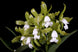 Product image thumbnail 2