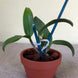 Product image thumbnail 6
