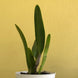 Product image thumbnail 11