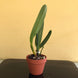 Product image thumbnail 5