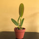 Product image thumbnail 6
