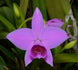 Product image thumbnail 3