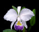 Product image thumbnail 1