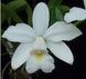 Product image thumbnail 1