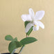 Product image thumbnail 11