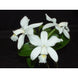 Product image thumbnail 3