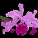 Product image thumbnail 1