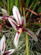 Product image thumbnail 2