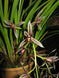 Product image thumbnail 3