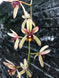 Product image thumbnail 2