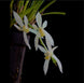 Product image thumbnail 1